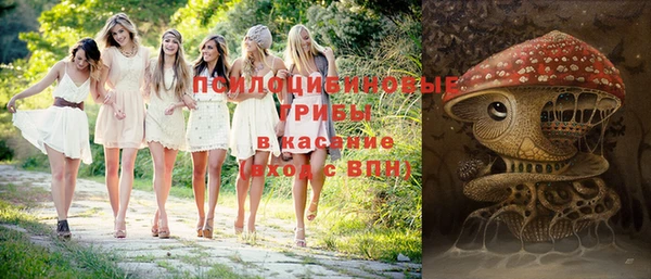 ECSTASY Осинники