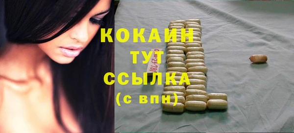 гидра Аркадак