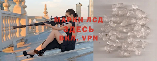 гидра Аркадак