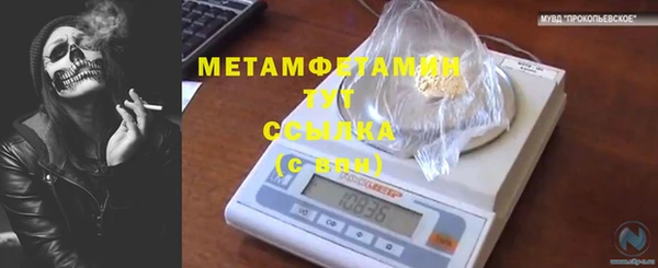 гидра Аркадак