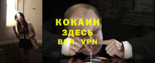 меф Арсеньев
